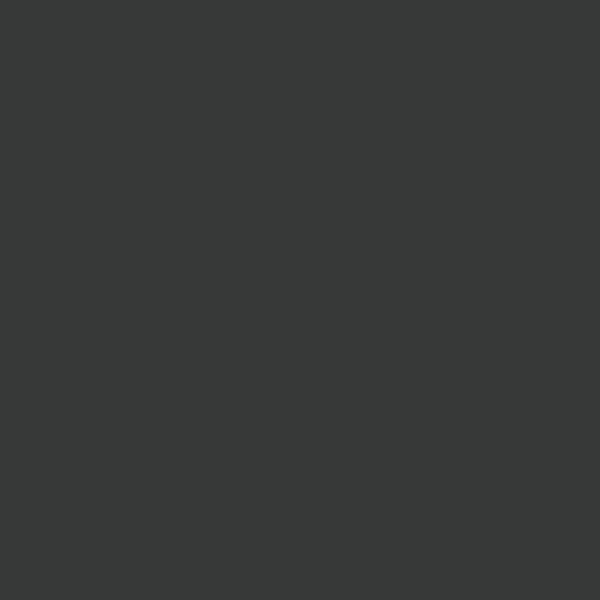 Blacktop (2135-10)